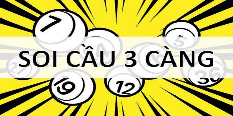 Tất Tần Tật Những Thông Tin Về Lô 3 Càng Bạn Cần Biết 4 lo-3-cang-soi-cau